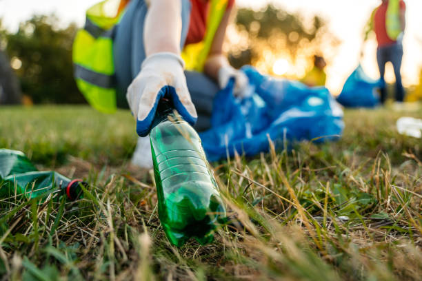 Best Yard Cleanup Services  in South Lyon, MI